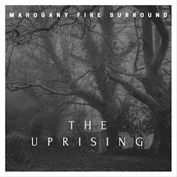 The Uprising album artwork