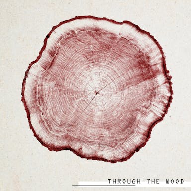 Through The Wood album artwork