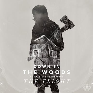 Down In The Woods album artwork