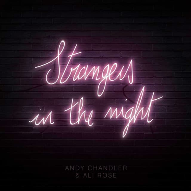 Strangers In The Night
