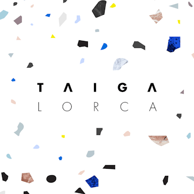 Taiga album artwork
